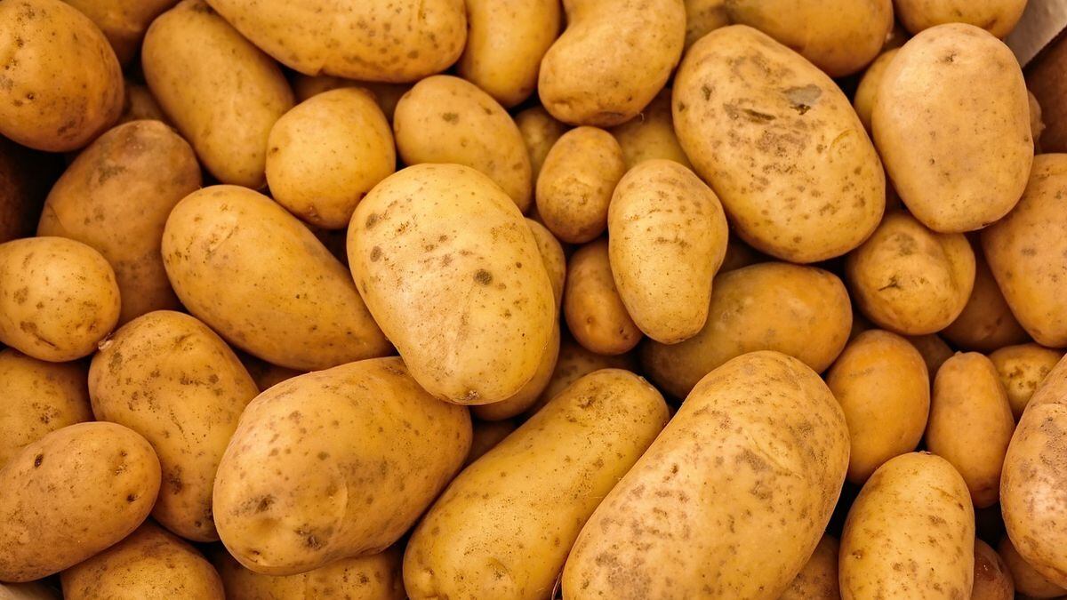 Mgh 1 gaming potatoes recipe