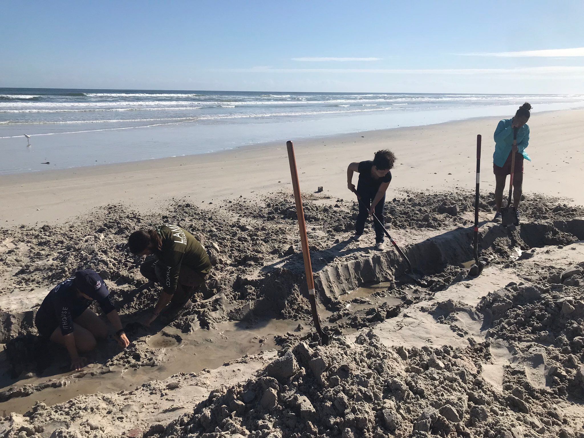 Has mystery of shipwreck exposed by erosion been solved?